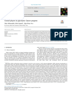 2020 - Crucial Players in Glycolysis Cancer Progress