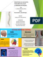 Sistema Nervioso Central