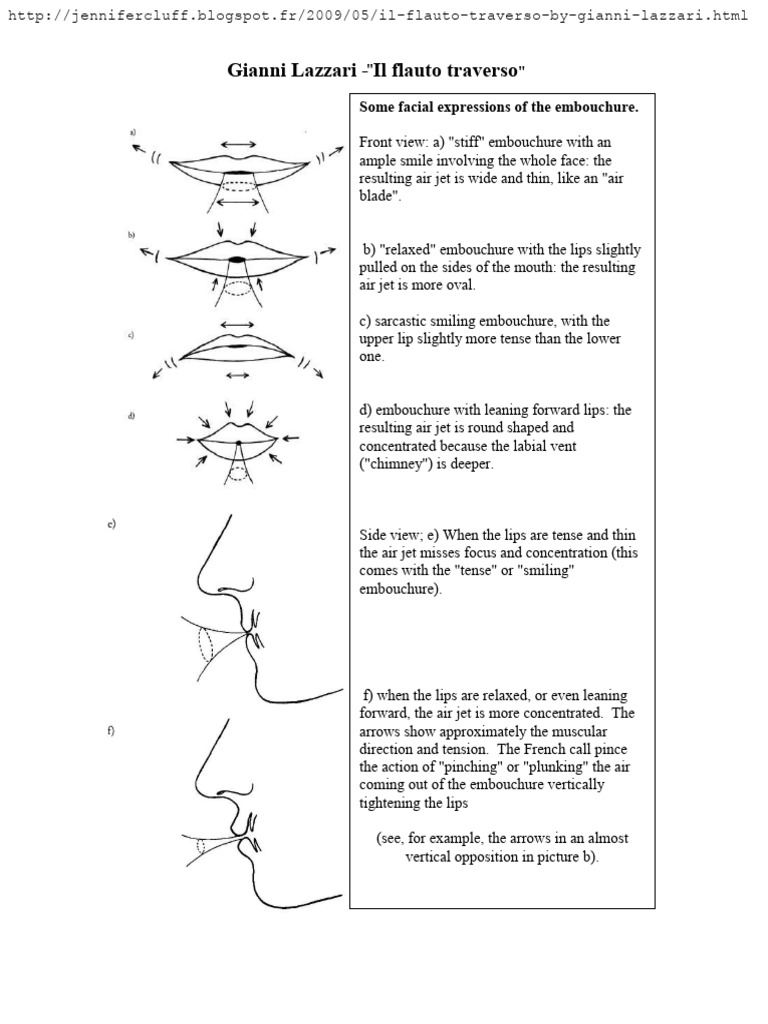Diffrentes Formes Embouchure Flute PDF