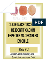 IDENTIFICACIÓN DE ESPECIES MADERABLES Jab