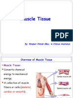 A - Muscle and Nervous Tissue