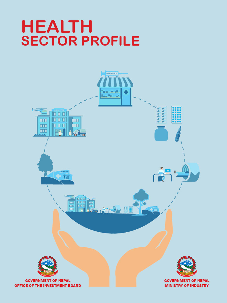 Health Sector Profile | PDF | Health Care | Ayurveda