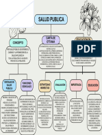 Mapa Salud Publica