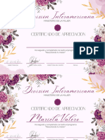 Certificado Curso de Microblading Moderno Beige