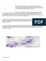 Nocardia y Corynebacterium 5.docx - 20231020 - 125028 - 0000