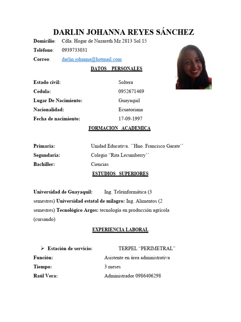 Perfil Profesional de Darlin Reyes Sánchez | PDF | Microsoft Office ...