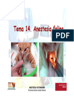 Tema 14. Anestesia Felina