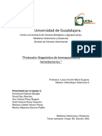 "Protocolo - Diagnóstico de Hemoparásitos y Hemobacterias." INFECTOLOGÍA II