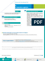 Ficha Comercial Accidental Full