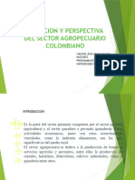 Situación y Perspectivas Del Sector Agropecuario