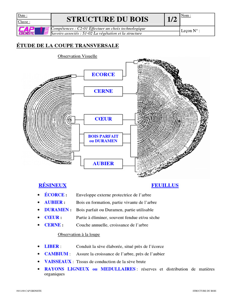 Structure et Anisotropie du Bois | PDF | Bois | Matériaux