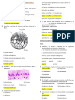 Anatomía Repaso 1