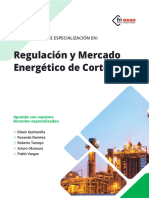 Regulación y Mercado Energético de Corto Plazo: Diploma