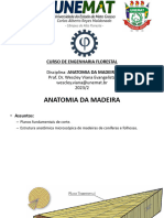 Aula_5_Estrutura_Anatmica_Conferas_Folhosas