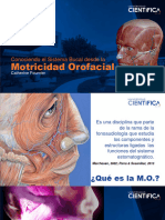 Motricidad Orofacial - SEM-02 - SESIÓN-02 - 2023-II