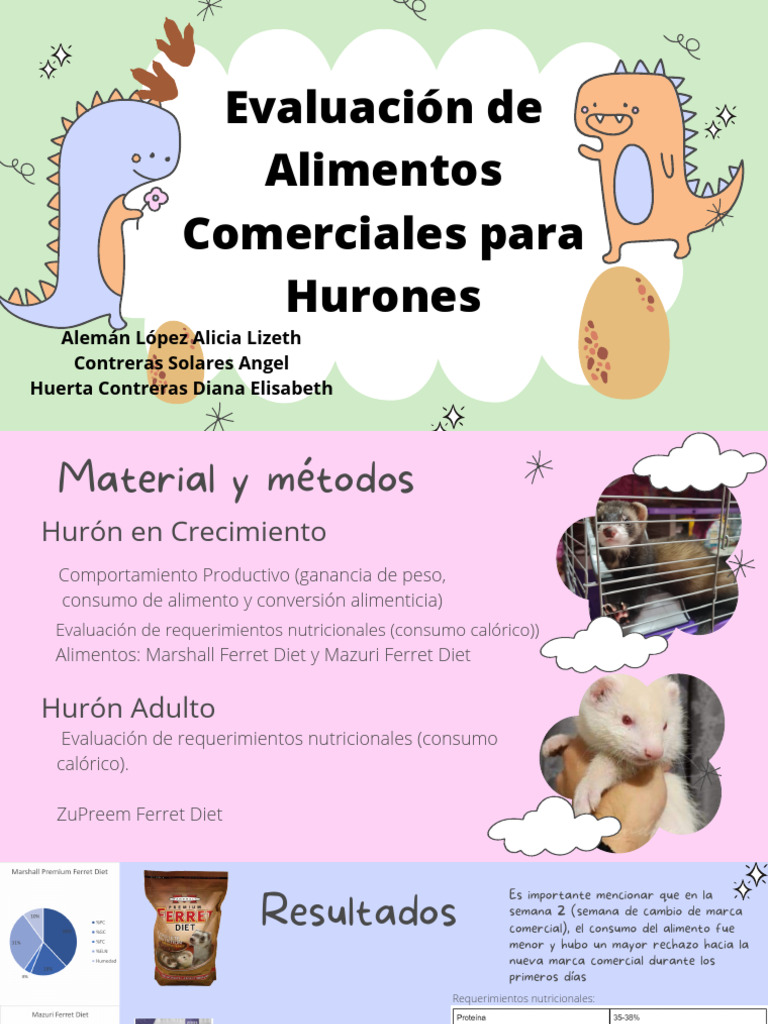 Alimentación adecuada para hurones | PDF | Dieta | Alimentos