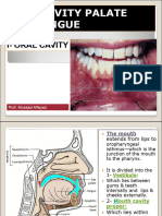 L1) Oral Cavity, Palate and Tongue