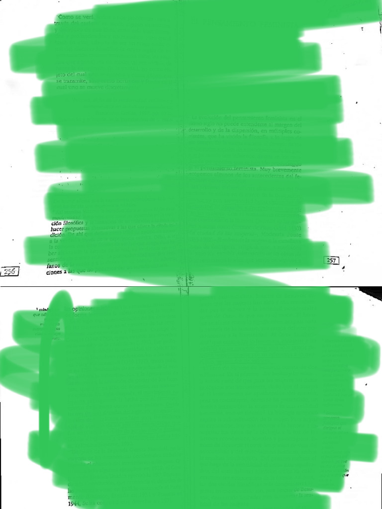 El Pensamiento Feminista PDF