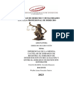 Diferencias Entre La Medida Cautelar de Embargo de Registro