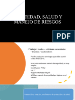 Seguridad, Salud y Manejo de Riesgos2