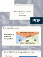 Exogenic Processes