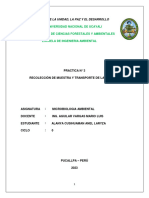 3era Practica de Microbiologia - Lara