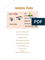 Informe Vision