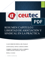 Resumen Capitulo I Libertad de Asociación y Sindical en La Práctica