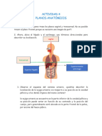 Actividad 4. Planos Anatómicos