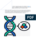 Genética Molecular: Existentes Se Deben A Similitudes y Diferencias Entre Sus Secuencias de ADN
