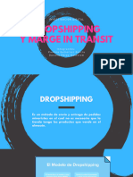 Dropshipping y Marge in Transit