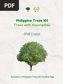 Philippine Trees 101: Trees With Description PDF