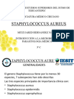 Staphylococcus Aureus-Expo Micro-Mitzi Nazario