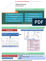 Teoría 05. Regulación de Glicemia