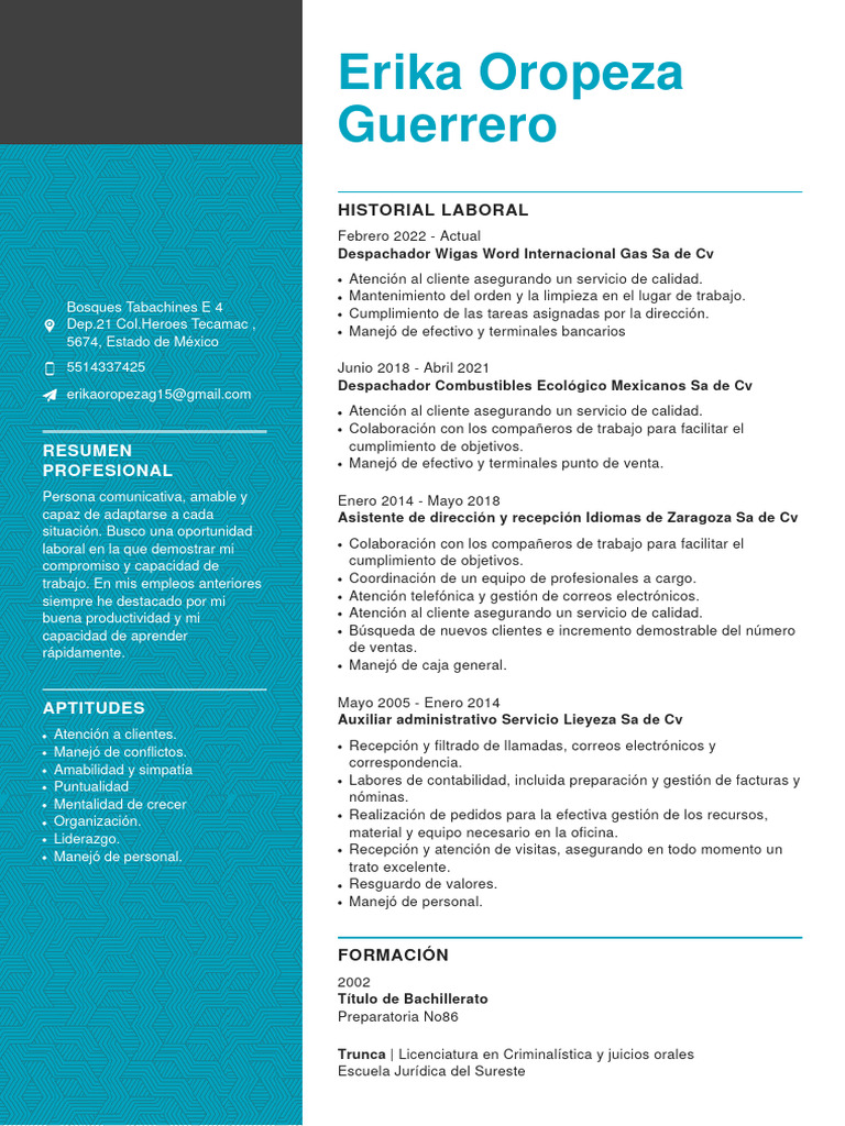 erika-oropeza-actual-descargar-gratis-pdf-business-economias