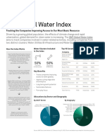 Brochure SP Global Water Index