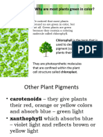 Photosynthesis Presentation NXPowerLite