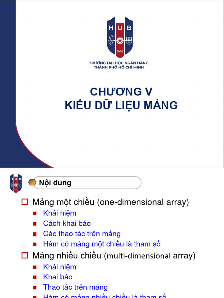 C05 kieu du lieu mang final pdf