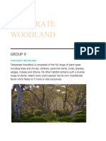 Temperate Woodland