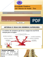 Anatomia Dos M. Superiores