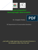 Access Working Length 2016-09-21 Text