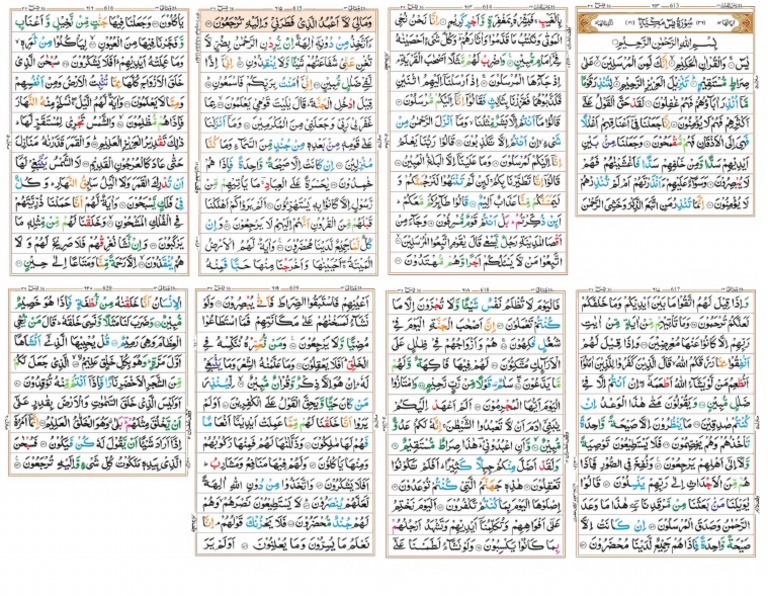 Surah Yaseen | PDF