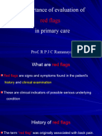 Red Flags Promotion Presentation
