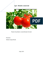 Agro - Bondes Comercial: Projecto de Produção e Comercialização de Tomate