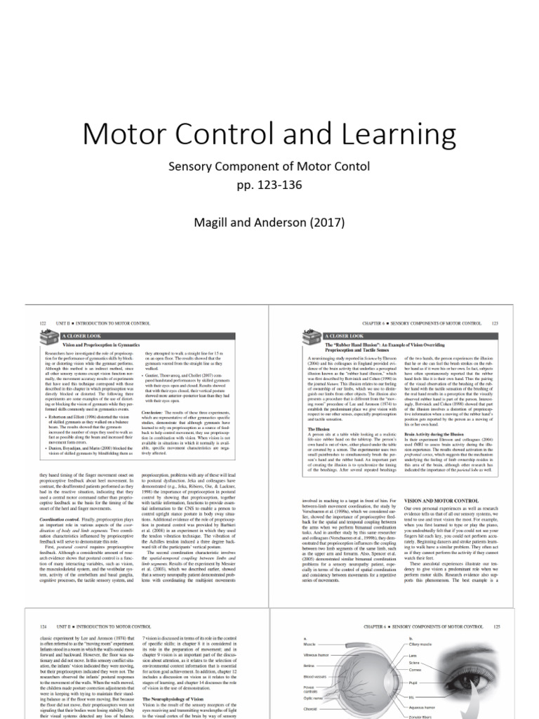 Sensory Role in Motor Control | PDF