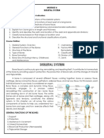 MODULE 4 Skeletal System