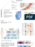 CLASE 6 Neurotransmisores - Motivación