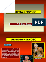 SISTEMA+NERVOSO