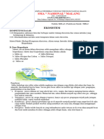 Worksheet Ekosistem - Daur Biogeokimia