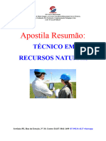 Apostila Resumão